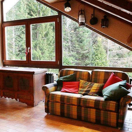 Fewo Schwarzwaldblick, 3 Schlafzimmer Todtnau-Muggenbrunn, Liftverbund Feldberg Buitenkant foto