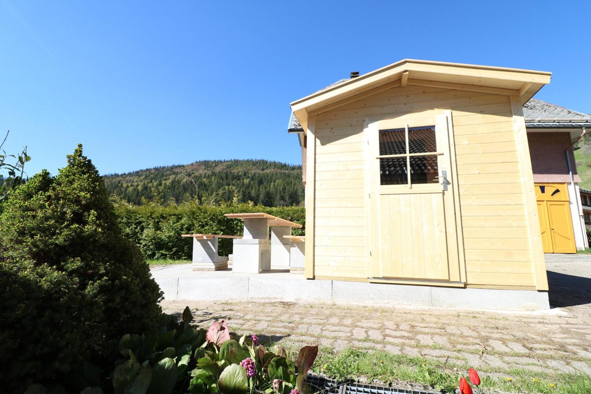 Fewo Schwarzwaldblick, 3 Schlafzimmer Todtnau-Muggenbrunn, Liftverbund Feldberg Buitenkant foto