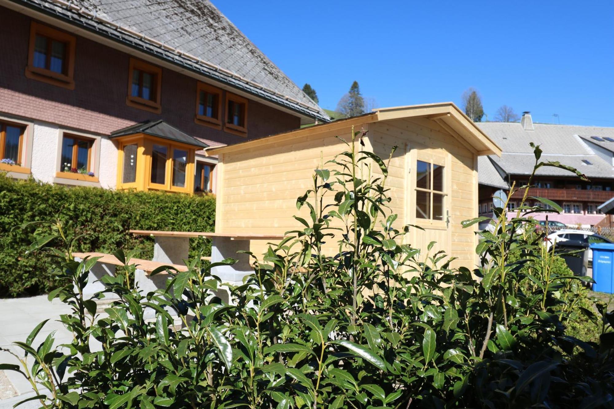 Fewo Schwarzwaldblick, 3 Schlafzimmer Todtnau-Muggenbrunn, Liftverbund Feldberg Buitenkant foto