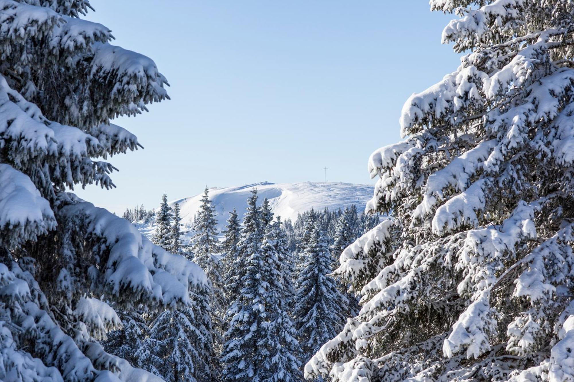 Fewo Schwarzwaldblick, 3 Schlafzimmer Todtnau-Muggenbrunn, Liftverbund Feldberg Buitenkant foto