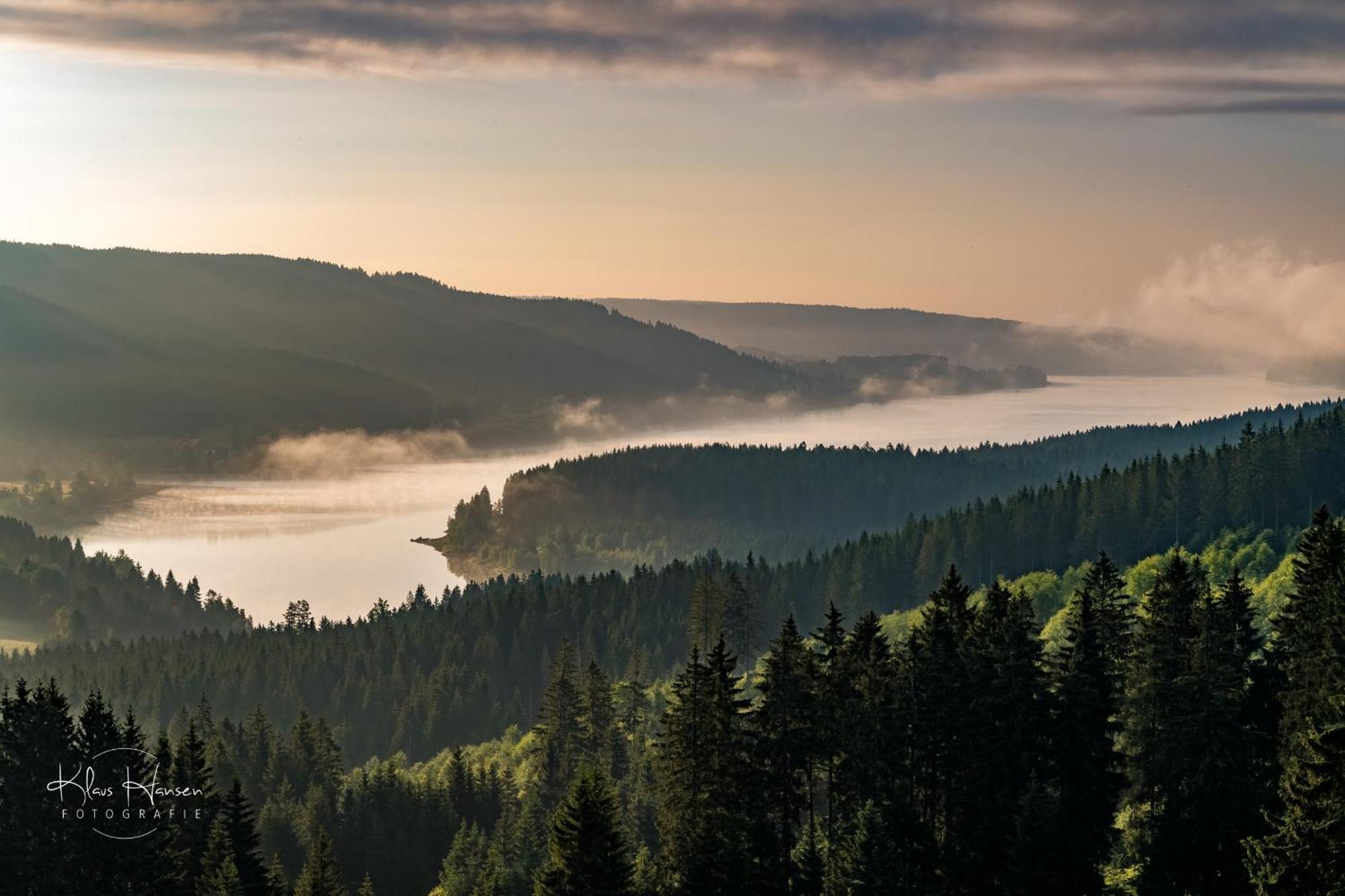 Fewo Schwarzwaldblick, 3 Schlafzimmer Todtnau-Muggenbrunn, Liftverbund Feldberg Buitenkant foto